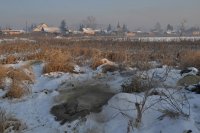 Окрестности поселений Рыбинского района продолжают зарастать кучами золы