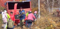 Набережную Кана продолжают очищать от зарослей ивы