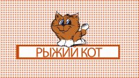 22.12.2021 Рыжий кот