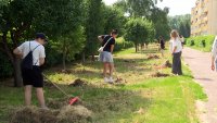 В Зеленогорске идет трудовое лето старшеклассников