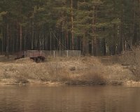 Этим летом паром в Зеленогорске работать не будет