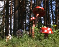 Объявлен конкурс «Мой яркий двор-2016», посвященный юбилею города