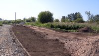 В Зеленогорске появится специализированная площадка для выгула и дрессировки собак