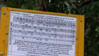 В Зеленогорске начало действовать новое расписание автобусов на муниципальных маршрутах