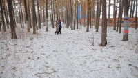Зеленогорцы! Дети и родители, свой город благоустроить не хотите ли?