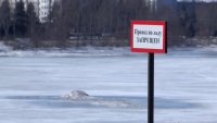 Осторожно: тонкий лёд! Держись подальше, если ценишь безопасность