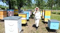 Зеленогорский предприниматель Юлия Казанцева получила грант 1 млн рублей на создание и развитие семейной пасеки