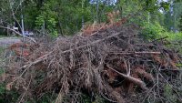 Огородники первого садоводства жалуются на кучи спиленных веток