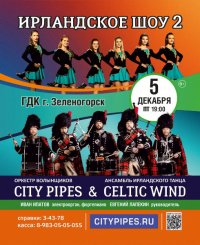 Ирландское шоу 5 декабря в ЗГДК