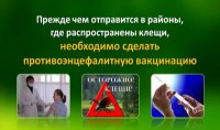 Первые укусы клещей. За помощью к медикам обратилась зеленогорка