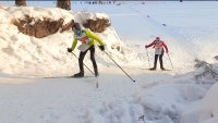 Зеленогорские спортсмены  -  лидеры домашнего чемпионата и первенства региона по спортивному ориентированию