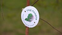 «Сад Памяти» на озере-парке